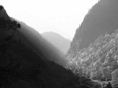 阴阳师刷剧情